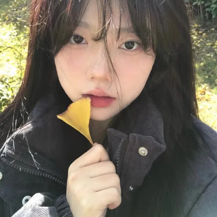 灾难级假期